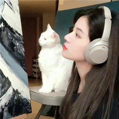 黑道小子巨星梦